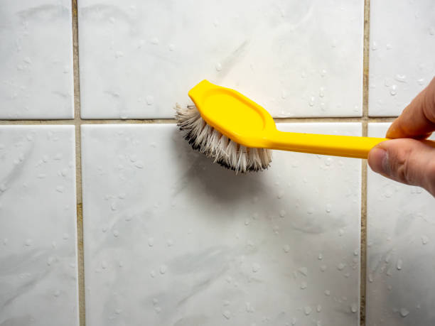 Best Mold Testing and Inspection Services in Mammoth Spring, AR